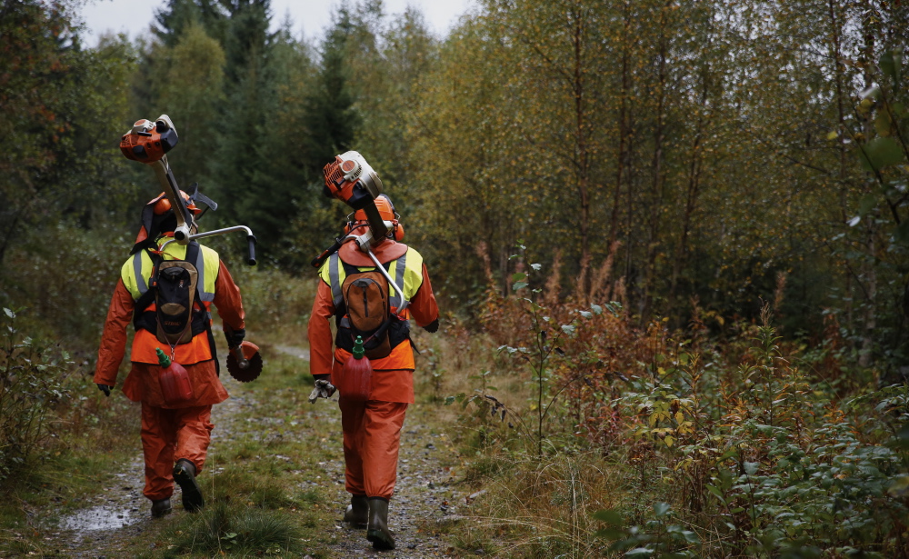 Lantz skogsvård, två personer på en skogsstig.